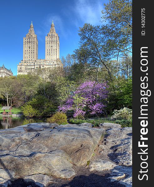 Spring in Central Park on the lake in early morning. Spring in Central Park on the lake in early morning