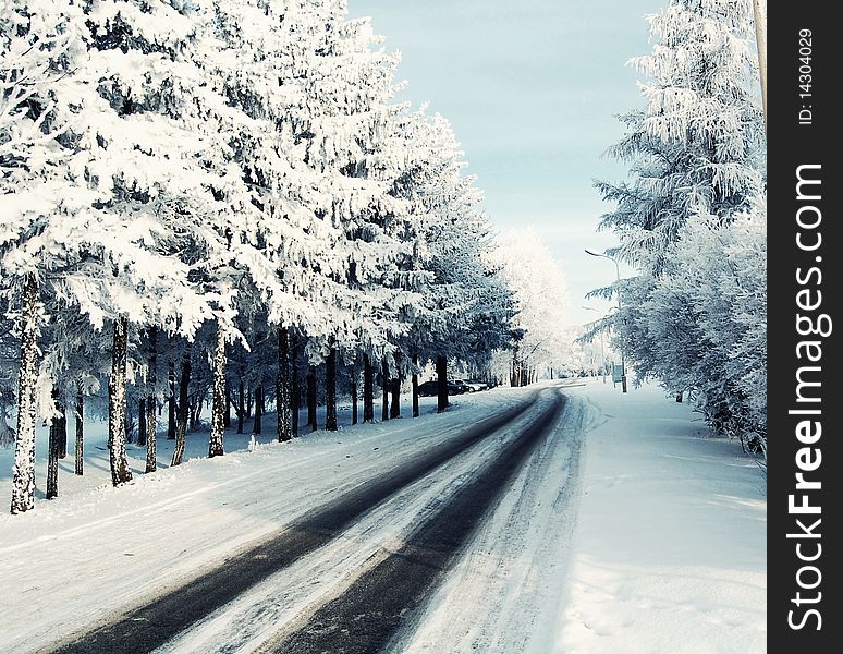 Winter way, big white rime