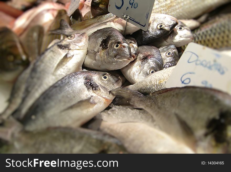 Fresh Doarde fish on a french market