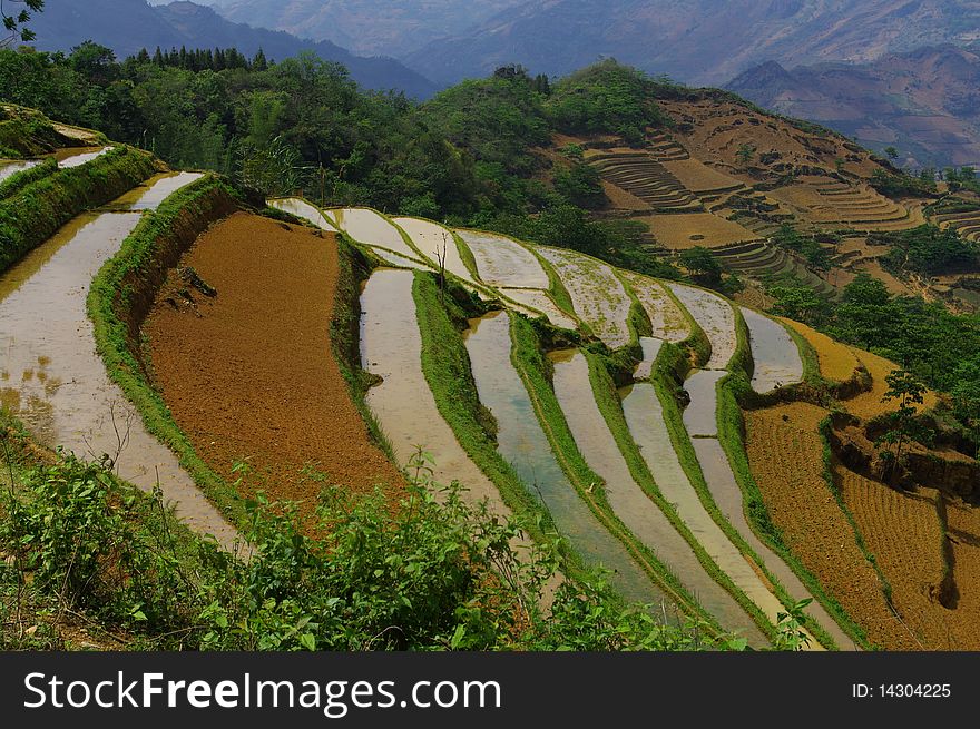 In northern Vietnam, rice cultivation is difficult. For millennia men have turned the mountains and create their rice trellises. In northern Vietnam, rice cultivation is difficult. For millennia men have turned the mountains and create their rice trellises.