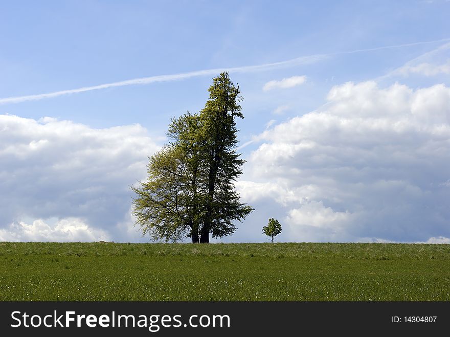 Two trees on a field - One big and one small.