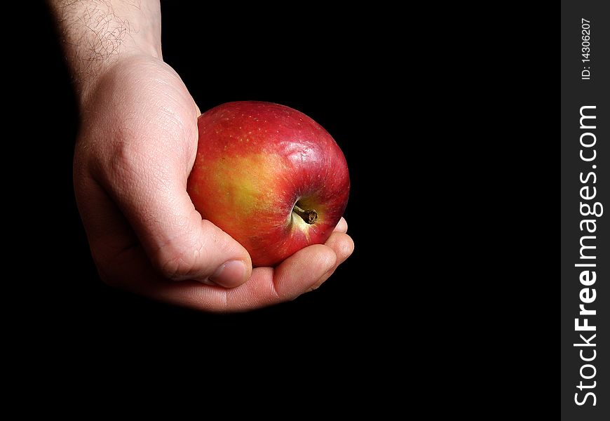Red Apple, which holds men's hands. On a black background. Red Apple, which holds men's hands. On a black background.