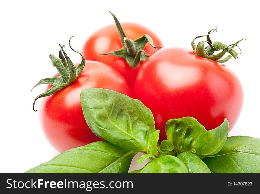 Fresh tomatoes with basil on withe backround. Fresh tomatoes with basil on withe backround