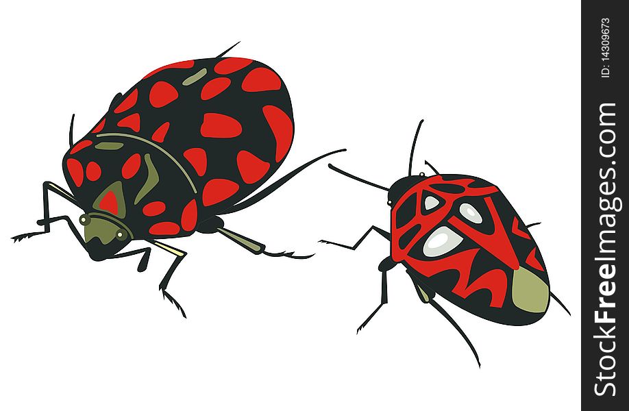 Illustration of beetle insect with red patterns. Illustration of beetle insect with red patterns