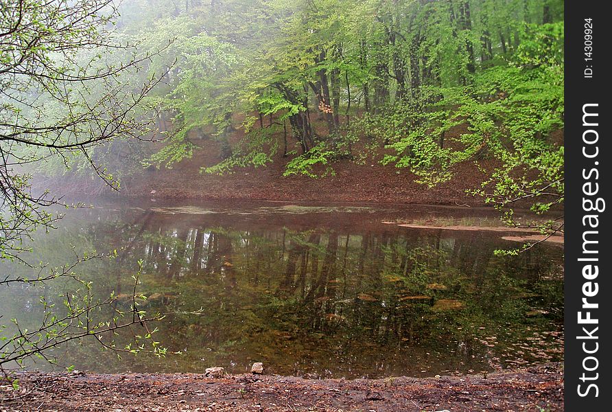 Lake In Mist