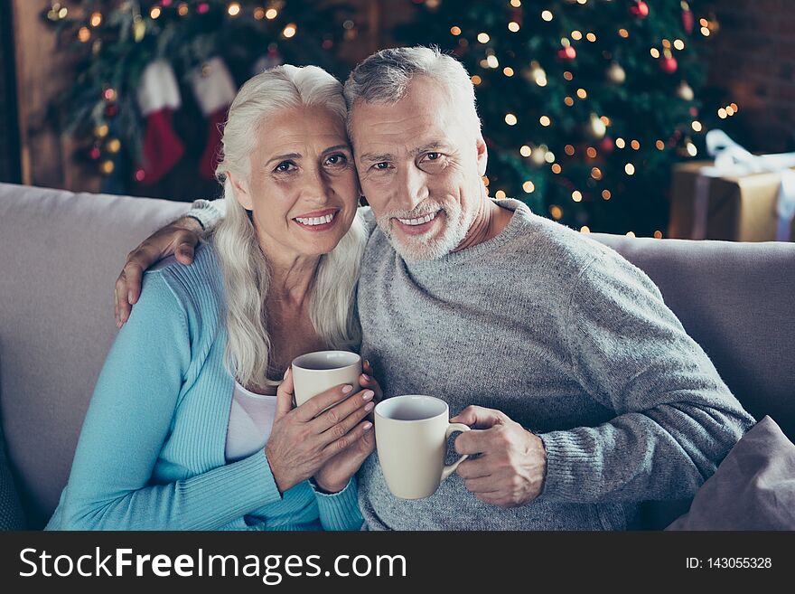 Portrait of two lovely adorable sweet elderly cheerful beautiful grey-haired people married spouses husband and wife hugging sitting on couch divan sofa drinking hot beverage eve noel tree.