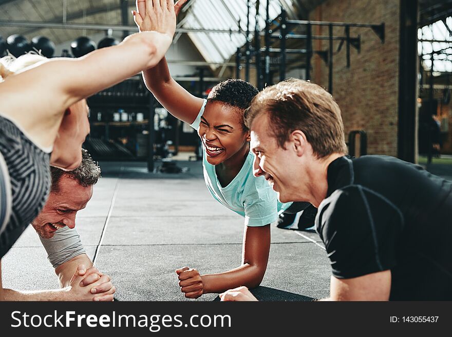 Two laughing young women in sportswear high fiving each other while planking with a couple of male friends on a gym floor. Two laughing young women in sportswear high fiving each other while planking with a couple of male friends on a gym floor