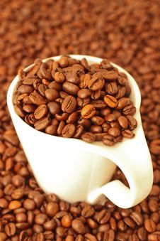 Coffee Beans In A White Cup Royalty Free Stock Image Coffee Beans In A White Cup Royalty Free Stock Image