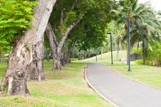Curve Sidewalk In The Park Royalty Free Stock Photography Curve Sidewalk In The Park Royalty Free Stock Photography