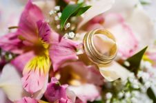 Wedding Rings Royalty Free Stock Image Wedding Rings Royalty Free Stock Image