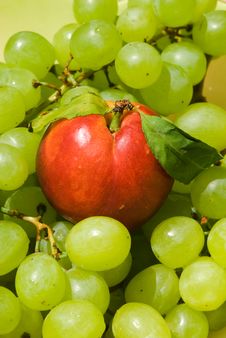 Nectarine And Grape Royalty Free Stock Photo Nectarine And Grape Royalty Free Stock Photo