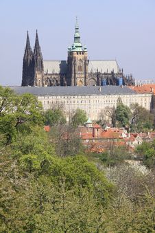 Prague S Gothic Castle With Flowering Trees Stock Photo
