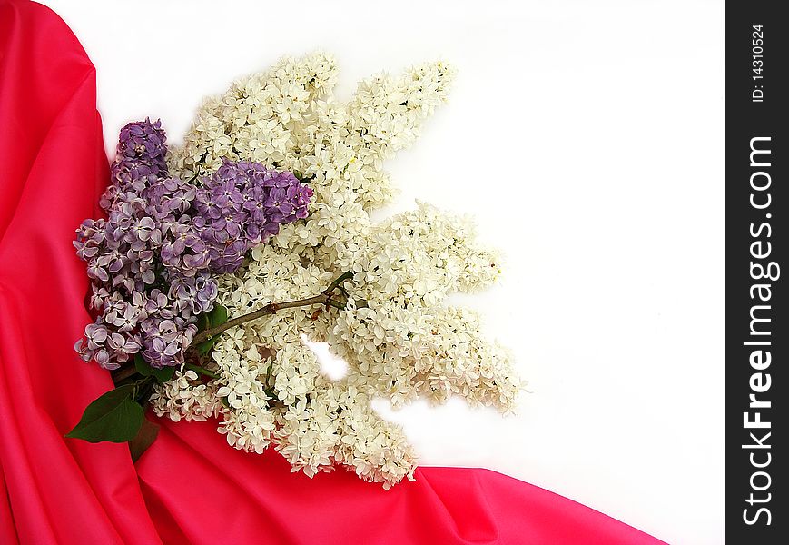 Bouquet of a lilac and pink silk fabric on a white background