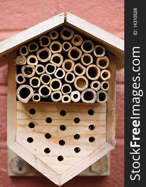 Detail of wasp house made of tubes