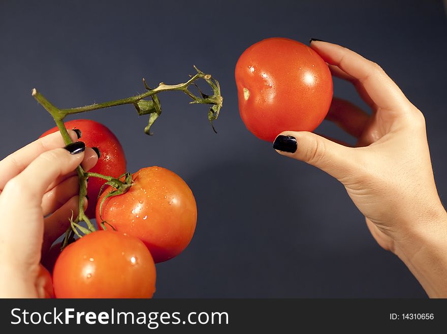 View of a womans hand pulling a red tomatoe. View of a womans hand pulling a red tomatoe.