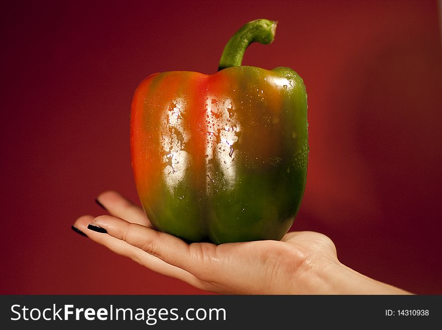 View of a woman's hand holding a bell pepper. View of a woman's hand holding a bell pepper.