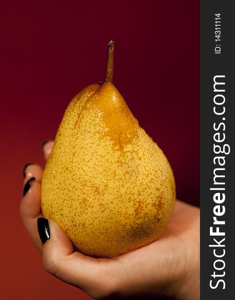 View of a woman's hand holding a wet pear. View of a woman's hand holding a wet pear.