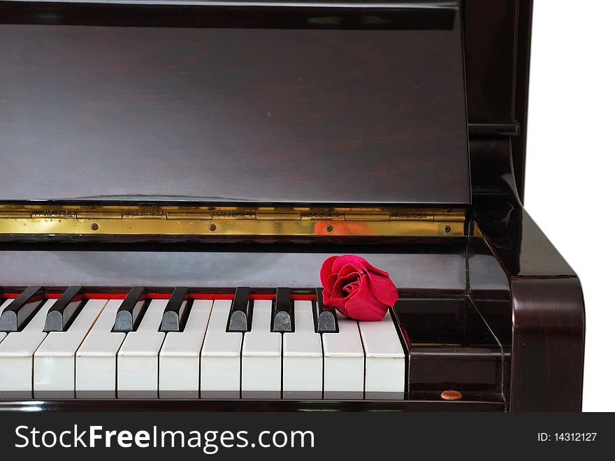 Single red rose on piano keyboard. For love of music, creativity and love and romance concepts.