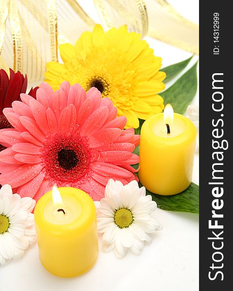 Fine flowers and candles on a white background