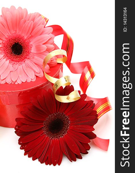 Gift and flowers on a white background