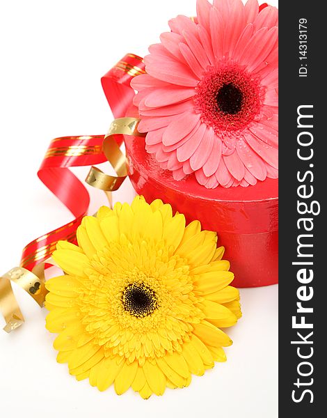 Gift and flowers on a white background