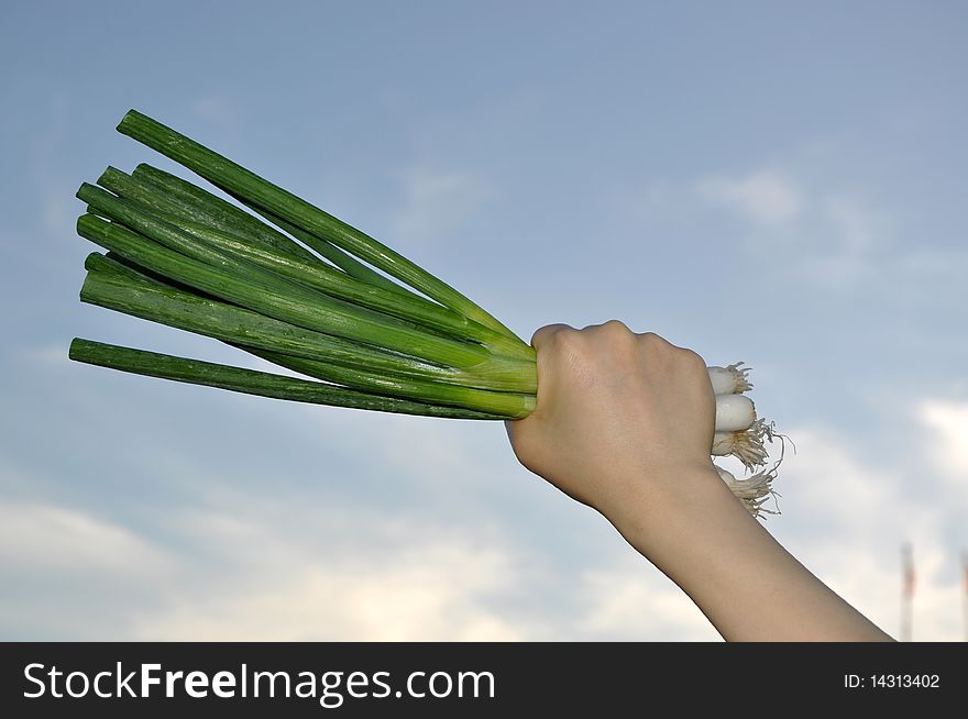 Person holding a green onion with blue sky