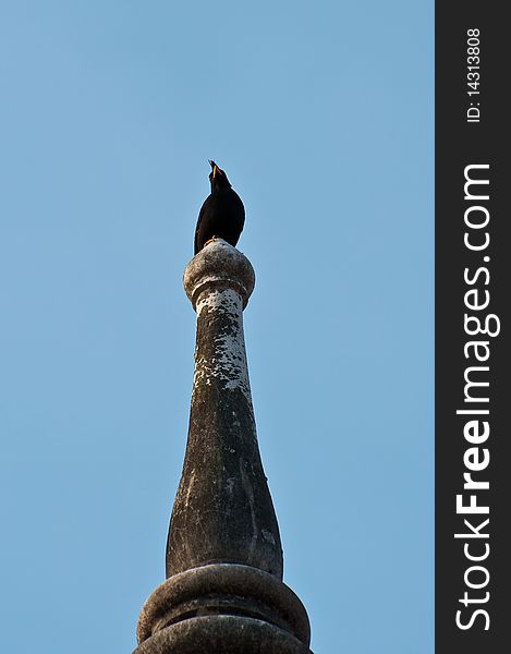 The bird is standing on top of pagoda. The bird is standing on top of pagoda