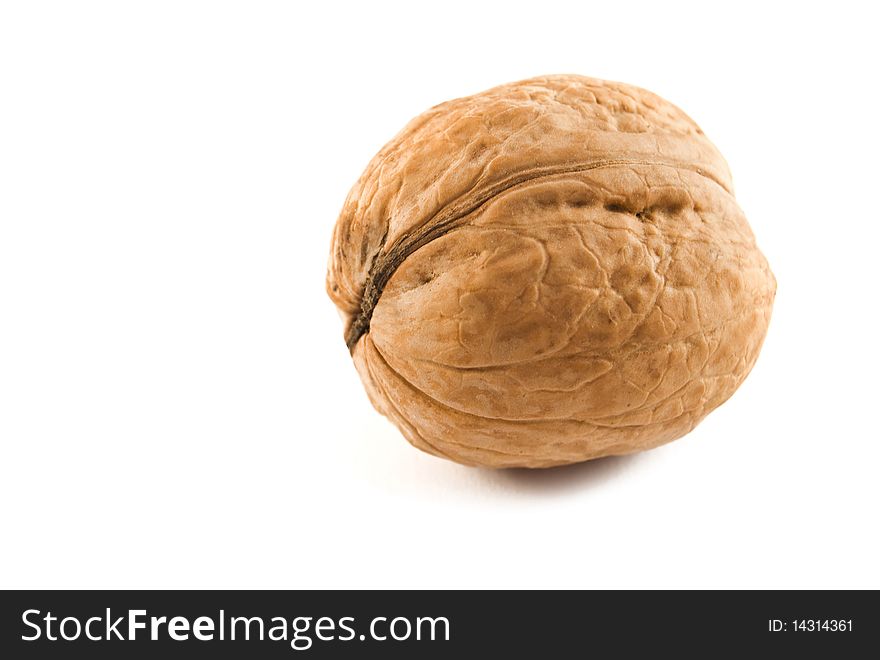 Walnut are isolated on a white background