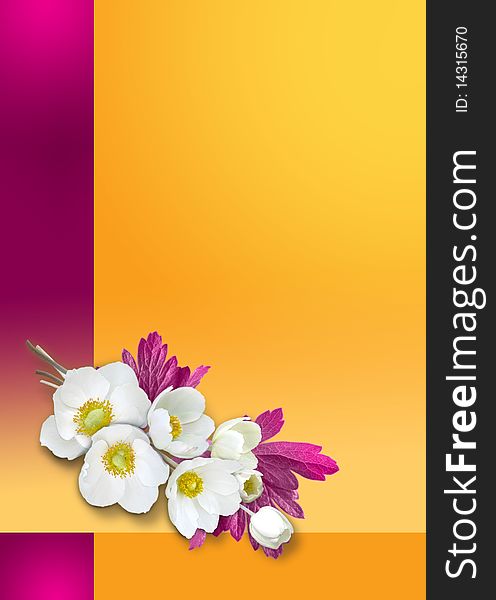 Orange-violet background with white flowers. Orange-violet background with white flowers