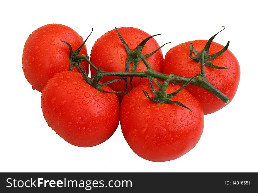 Large ripe fresh tomatoes on vine