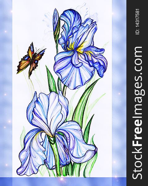 Blue iris flowers and butterfly