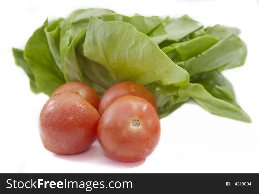 Fresh Red Tomato and Lettuce