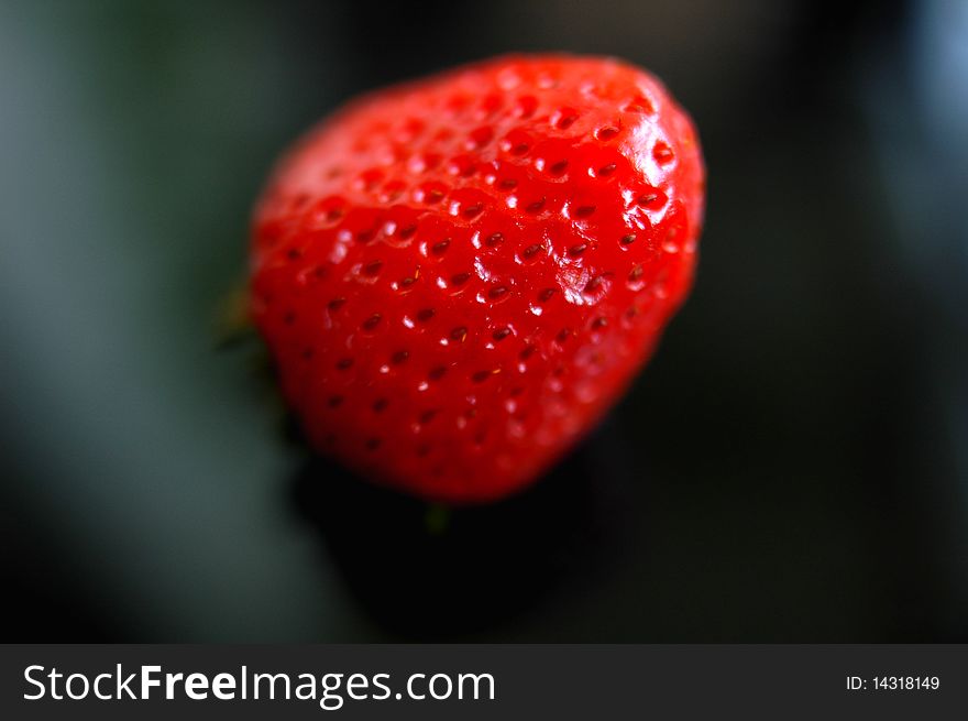 Closeup view of fresh red strawberry isolated on a blurred background