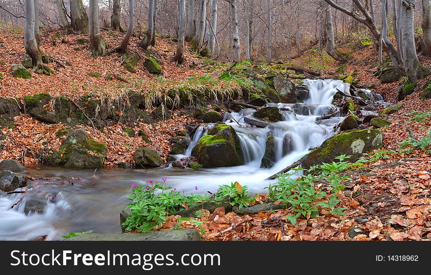 River in the Carpathian mountains. River in the Carpathian mountains