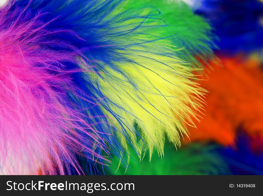Goose feather detail ends dyed in bright colors. Goose feather detail ends dyed in bright colors