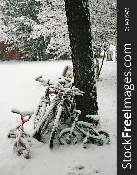 Group snowy bike leaning against a tree. Group snowy bike leaning against a tree