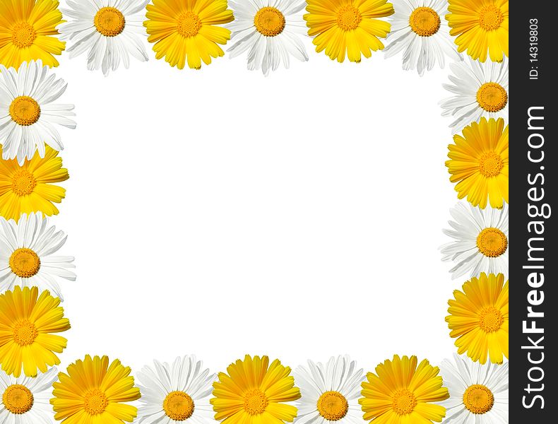 White and yellow daisy frame - high resolution