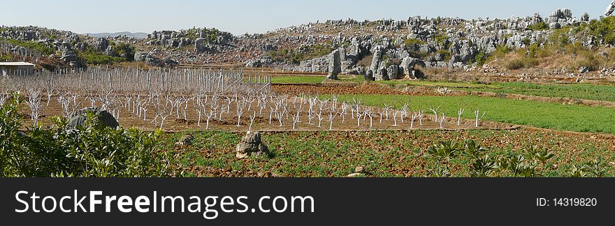 The shilin stone forest near kunming