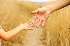 Free Beautiful Hands Of A Happy Child And Parent In The Nature Park Stock Photography - 143101852