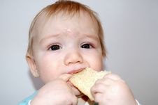 The Little Child Eats Bread Royalty Free Stock Photography The Little Child Eats Bread Royalty Free Stock Photography