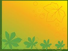 Leaf Abstract Background Royalty Free Stock Image