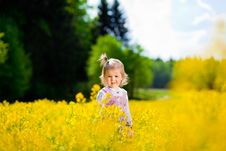 Girl On The Meadow Royalty Free Stock Photography Girl On The Meadow Royalty Free Stock Photography