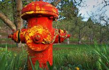 Old Red And Yellow Fire Hydrant In Orchard Stock Image Old Red And Yellow Fire Hydrant In Orchard Stock Image