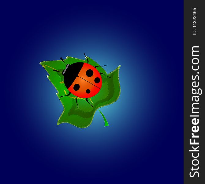 Illustration-ladybird sitting on a leaf