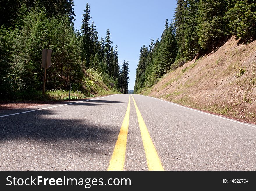 Asphalt road running through a forest