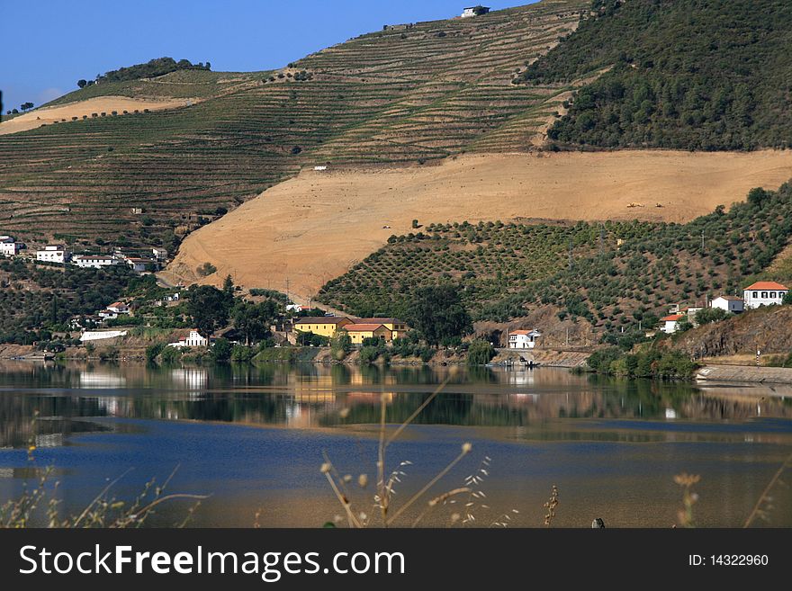 View on houses and vineyard in valley Douro
