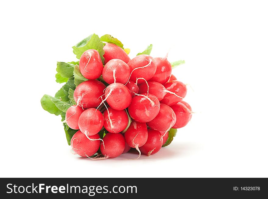 Close-up of a radish on a white background. Close-up of a radish on a white background