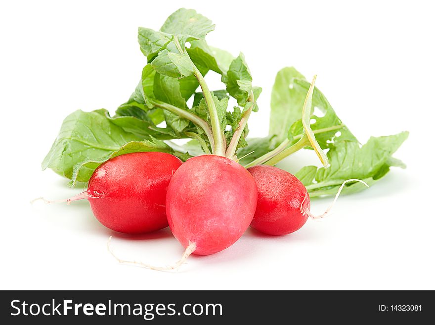 Close-up of a radish on a white background. Close-up of a radish on a white background
