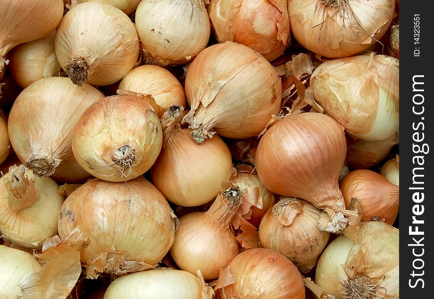 Onion Background