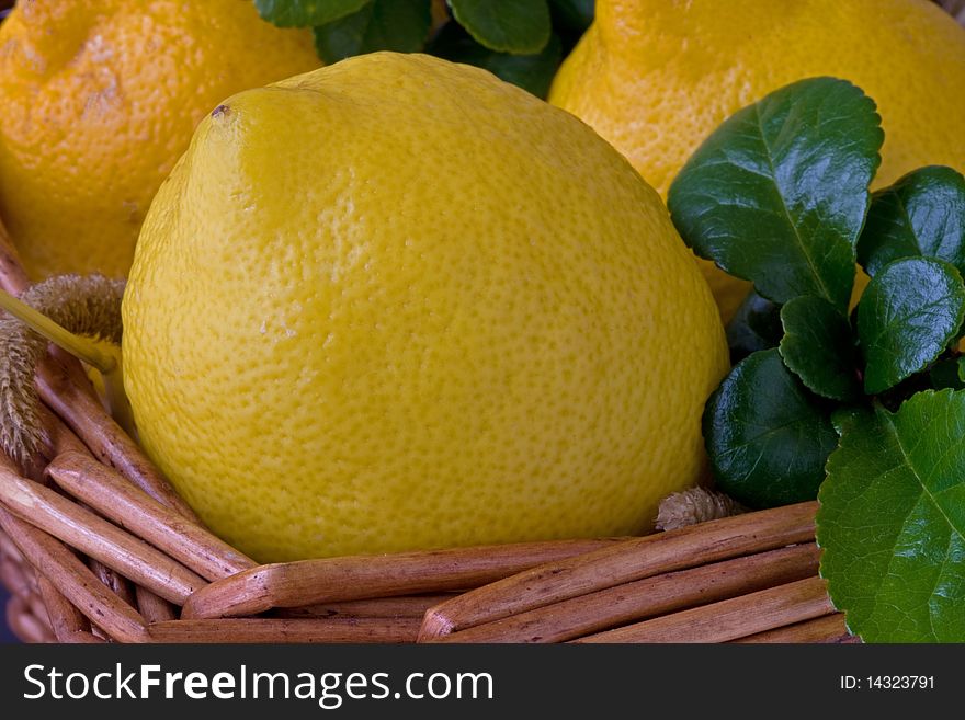 Lemons lying in a basket with a green leaf. Lemons lying in a basket with a green leaf